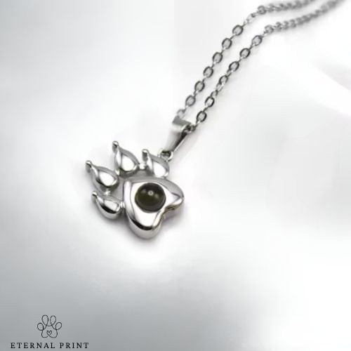 Collar de Proyección Personalizado