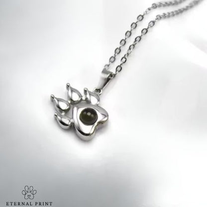 Collar de Proyección Personalizado